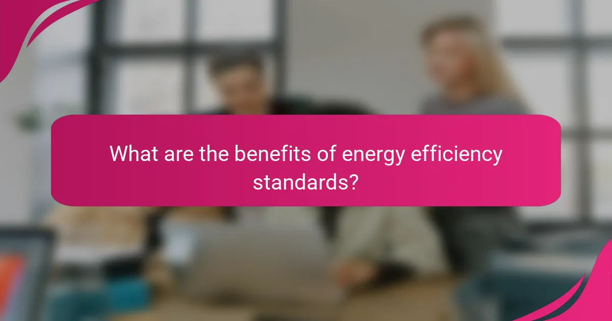 What are the benefits of energy efficiency standards?